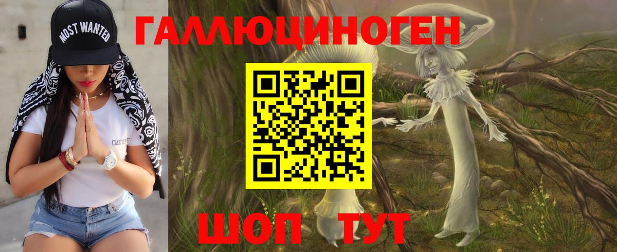 Псилоцибиновые грибы мицелий  Вход с VPN  Гусев 